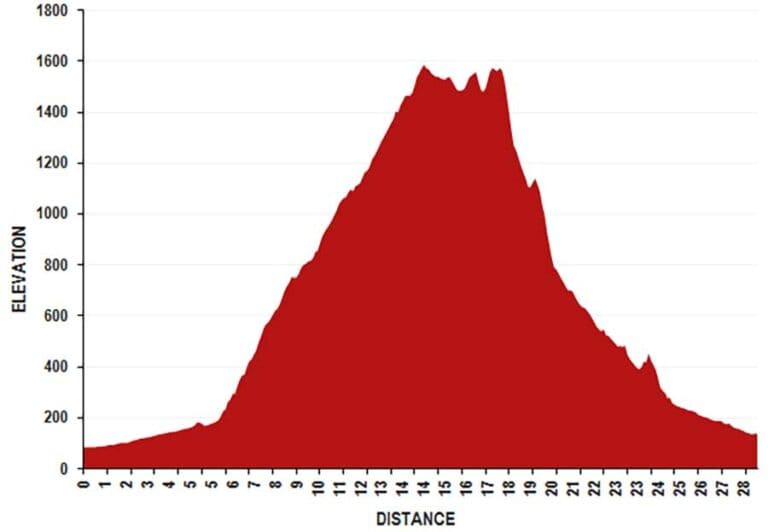 The elevation gain for the day.
