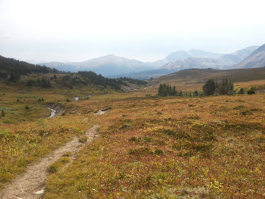 The gentle uphill section of trail looking back towards Little Shovel Pass in the distance.