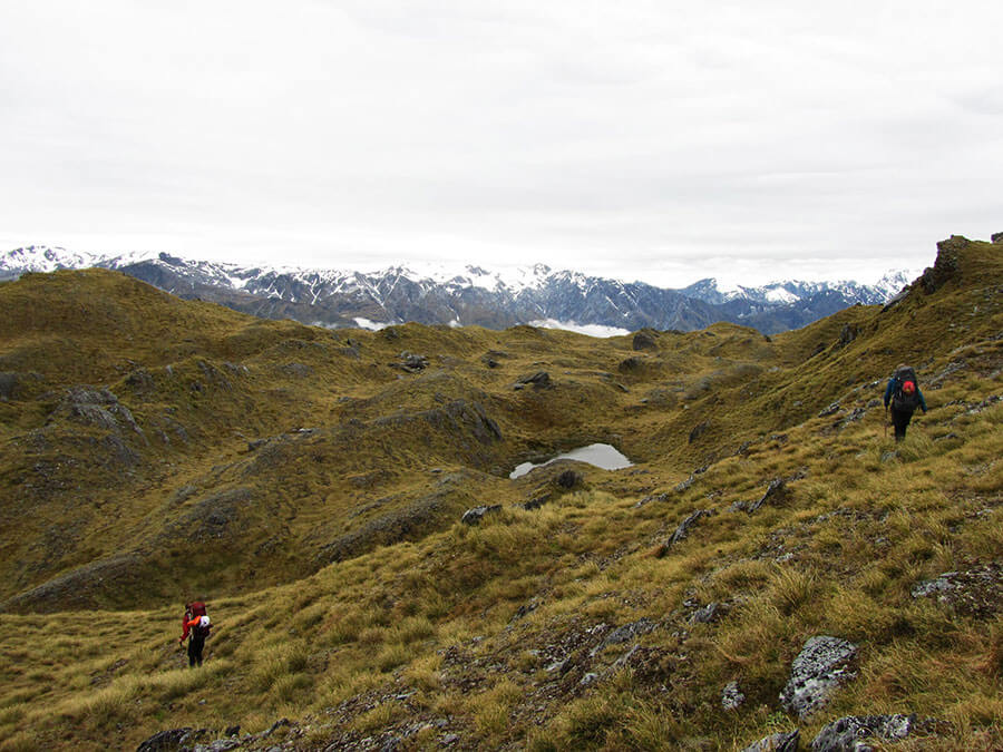 Winding our way through the grasslands above the River Lambert.