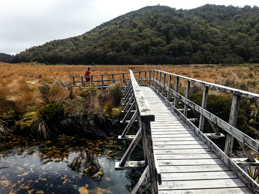 Multiple bridges across the trail towards Gouland Downs Hut.