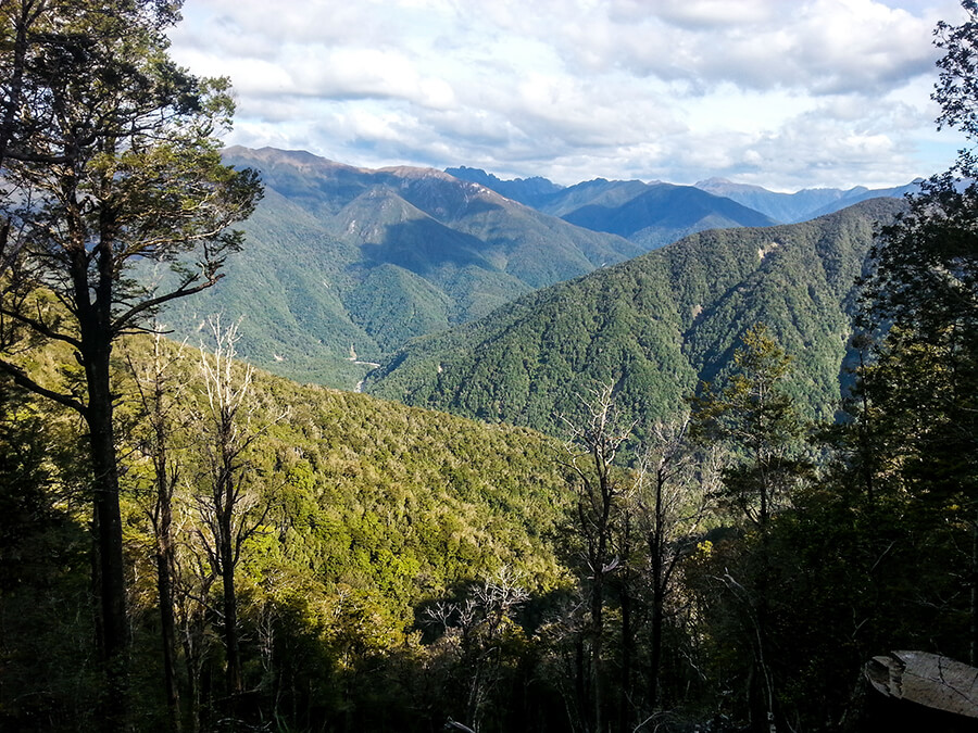 Going over Perry Saddle we were met my huge mountain peaks in the distance - the majestic Kahurangi National Park. 